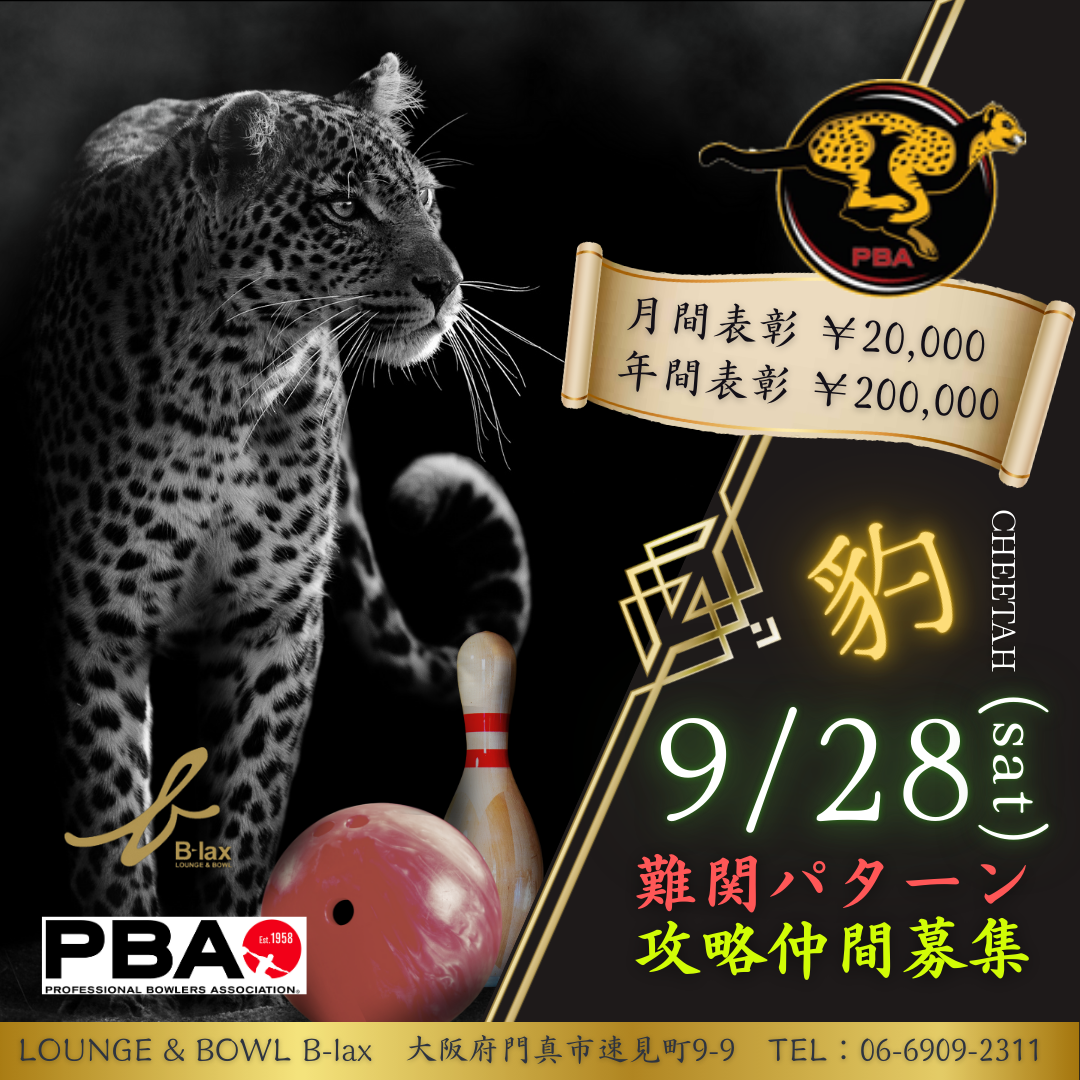 pba_animalleague_CHEETAH_20240928